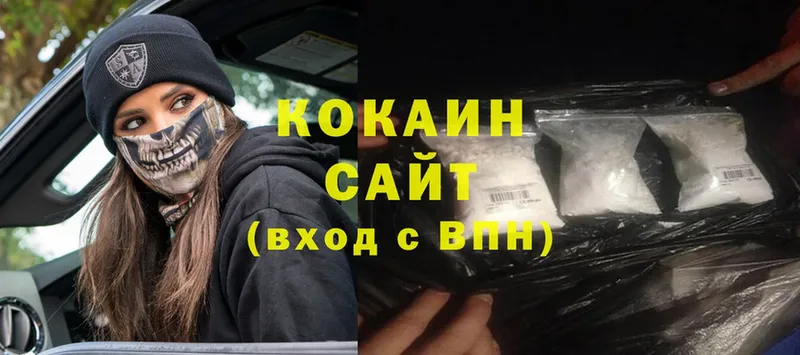 дарнет шоп  Заводоуковск  Cocaine 97% 