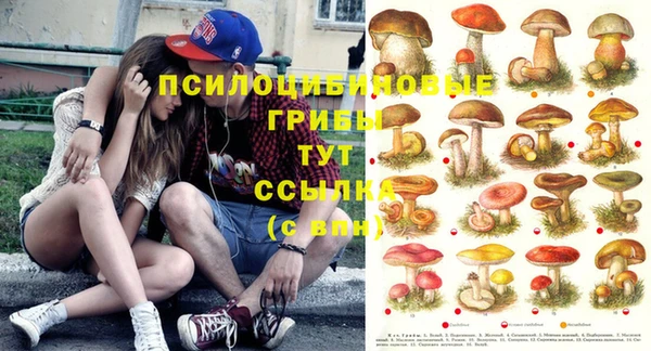 спайс Нефтекумск