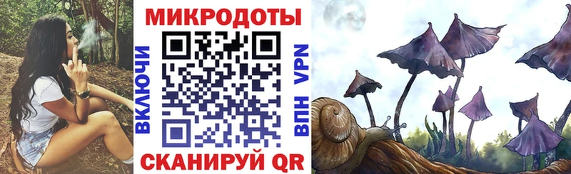 МЕГА как войти  Заводоуковск  Галлюциногенные грибы мицелий 