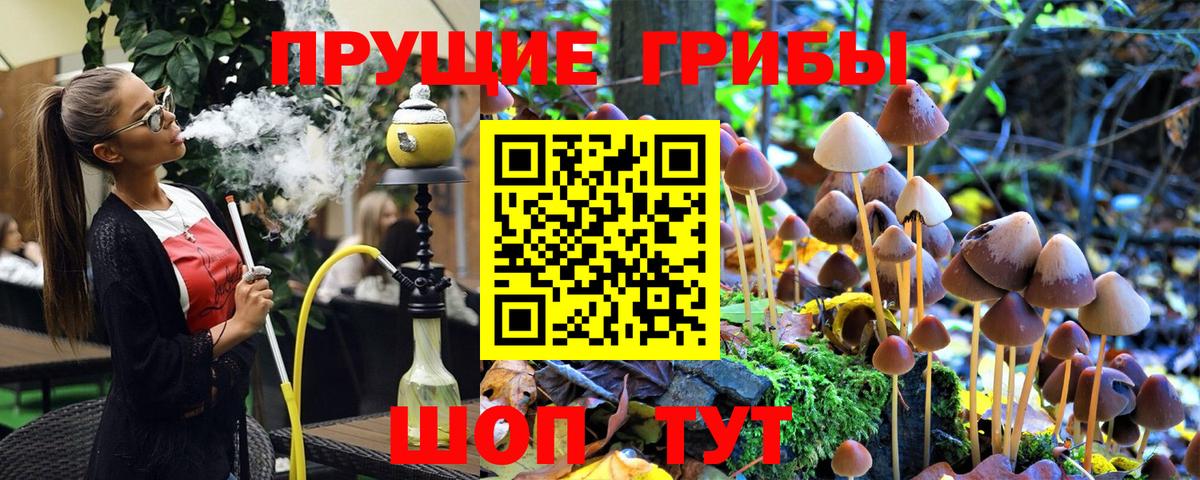 Галлюциногенные грибы Psilocybe  Вход с VPN  Заводоуковск  Галлюциногенные грибы MAGIC MUSHROOMS 