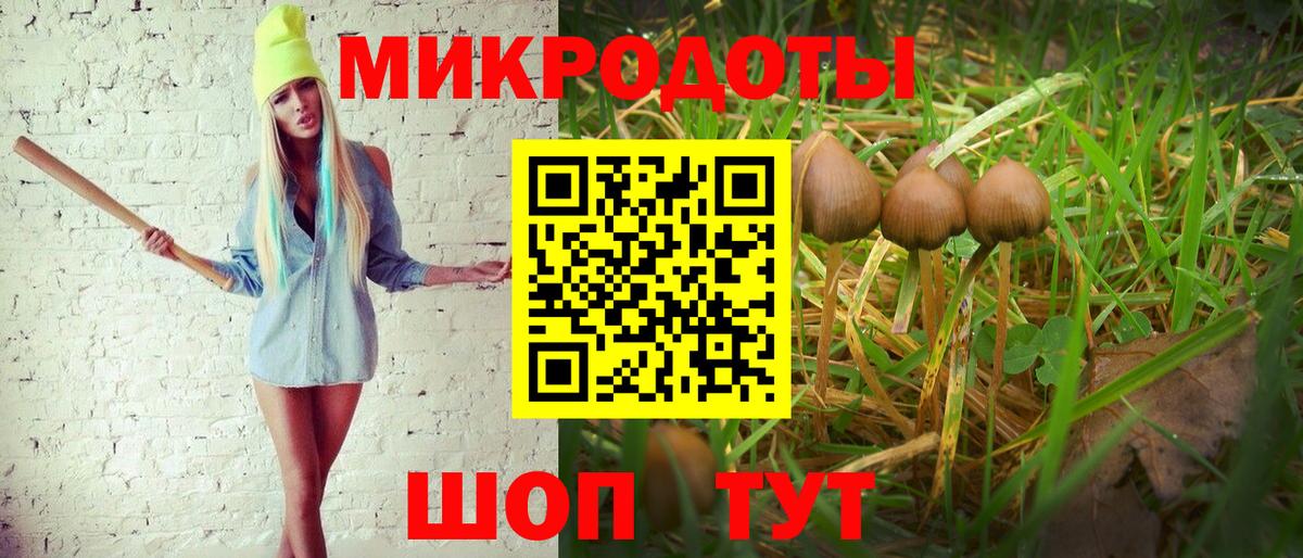 Псилоцибиновые грибы мухоморы Заводоуковск