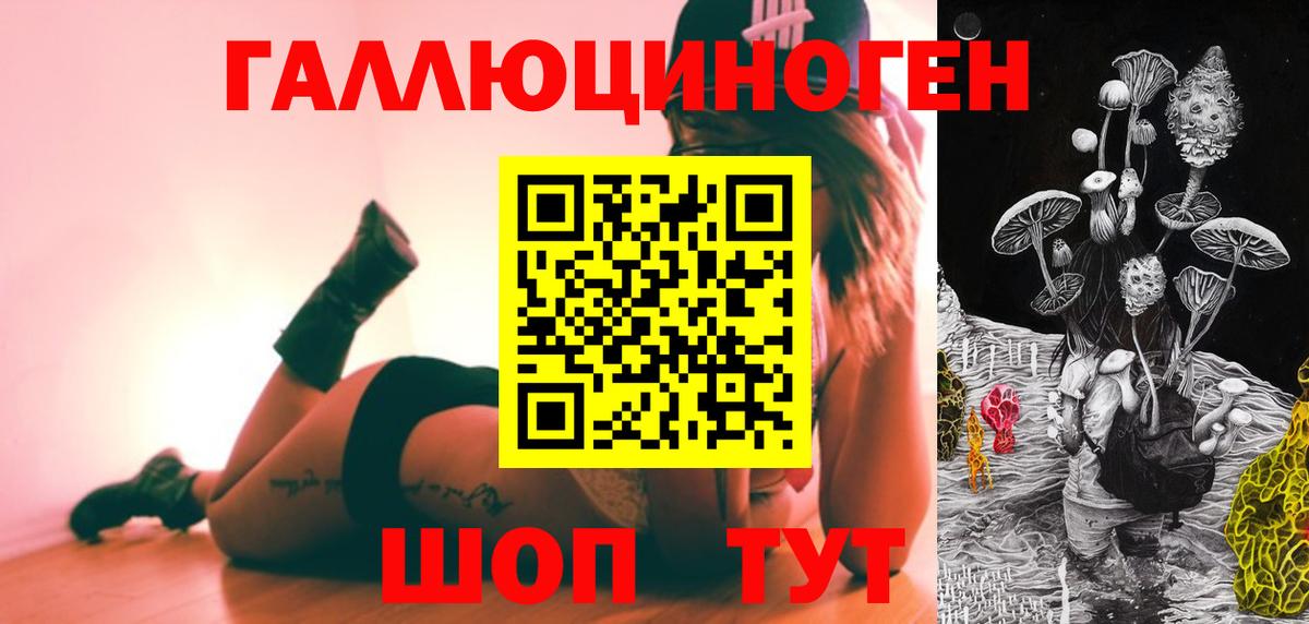 Псилоцибиновые грибы GOLDEN TEACHER  Заводоуковск 